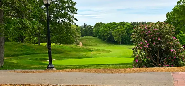 Golf betting