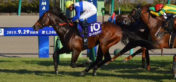 Horse Racing betting
